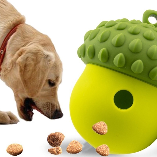 Dernières nouvelles de l'entreprise Meilleurs produits en silicone pour animaux de compagnie (chiens et chats) – Accessoires sûrs, personnalisables et écologiques pour un usage quotidien